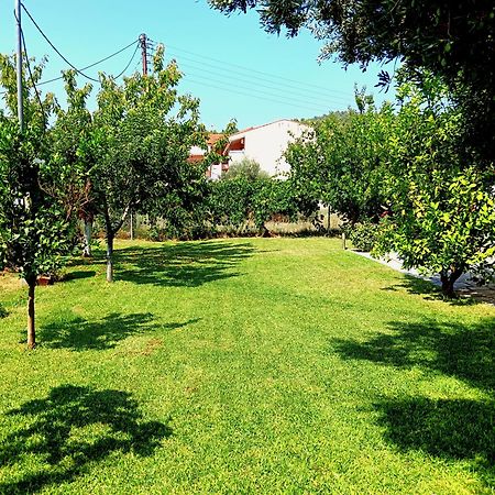 Giorgos Apartments. Skala Fourkas Luaran gambar
