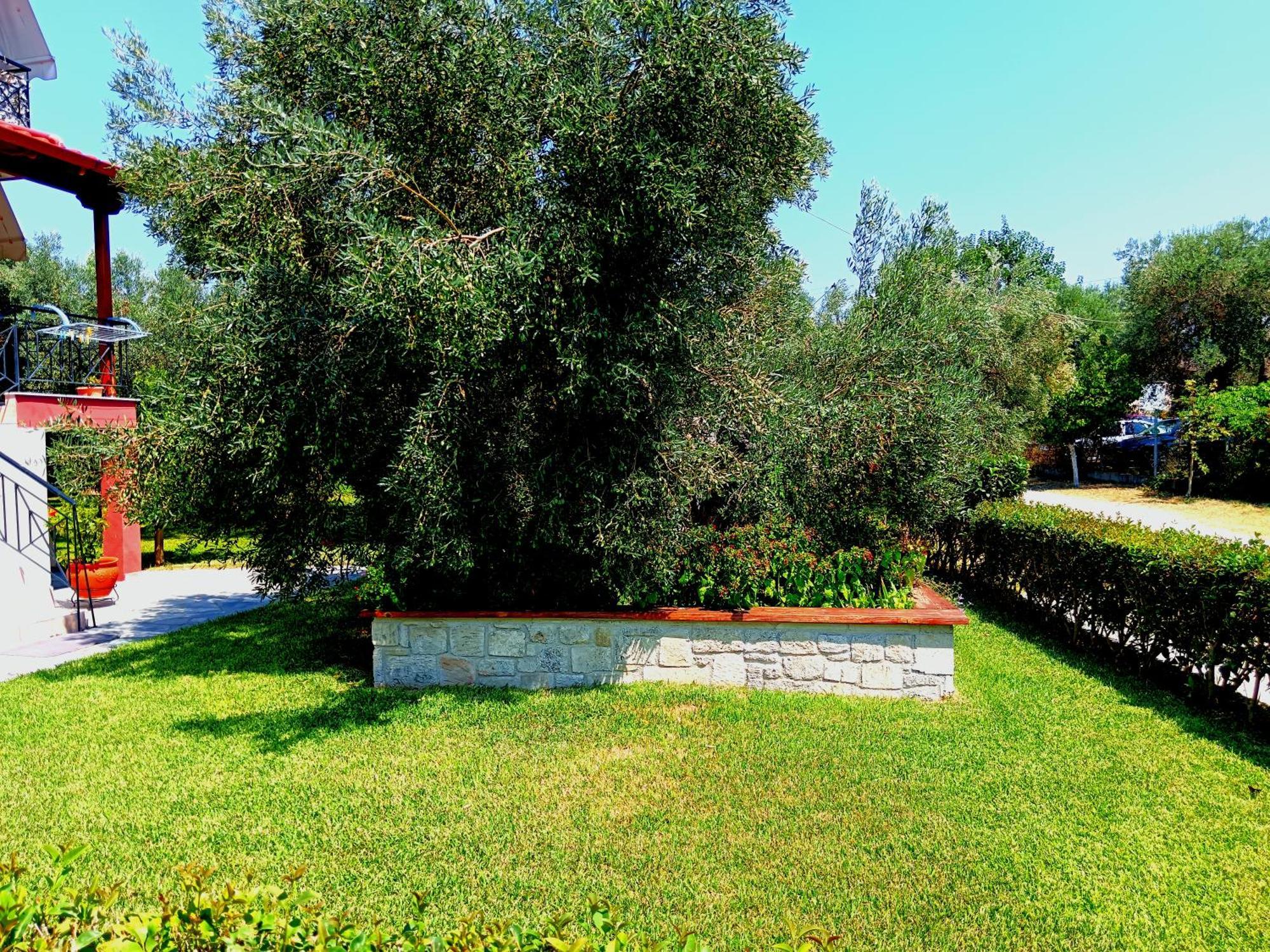 Giorgos Apartments. Skala Fourkas Luaran gambar