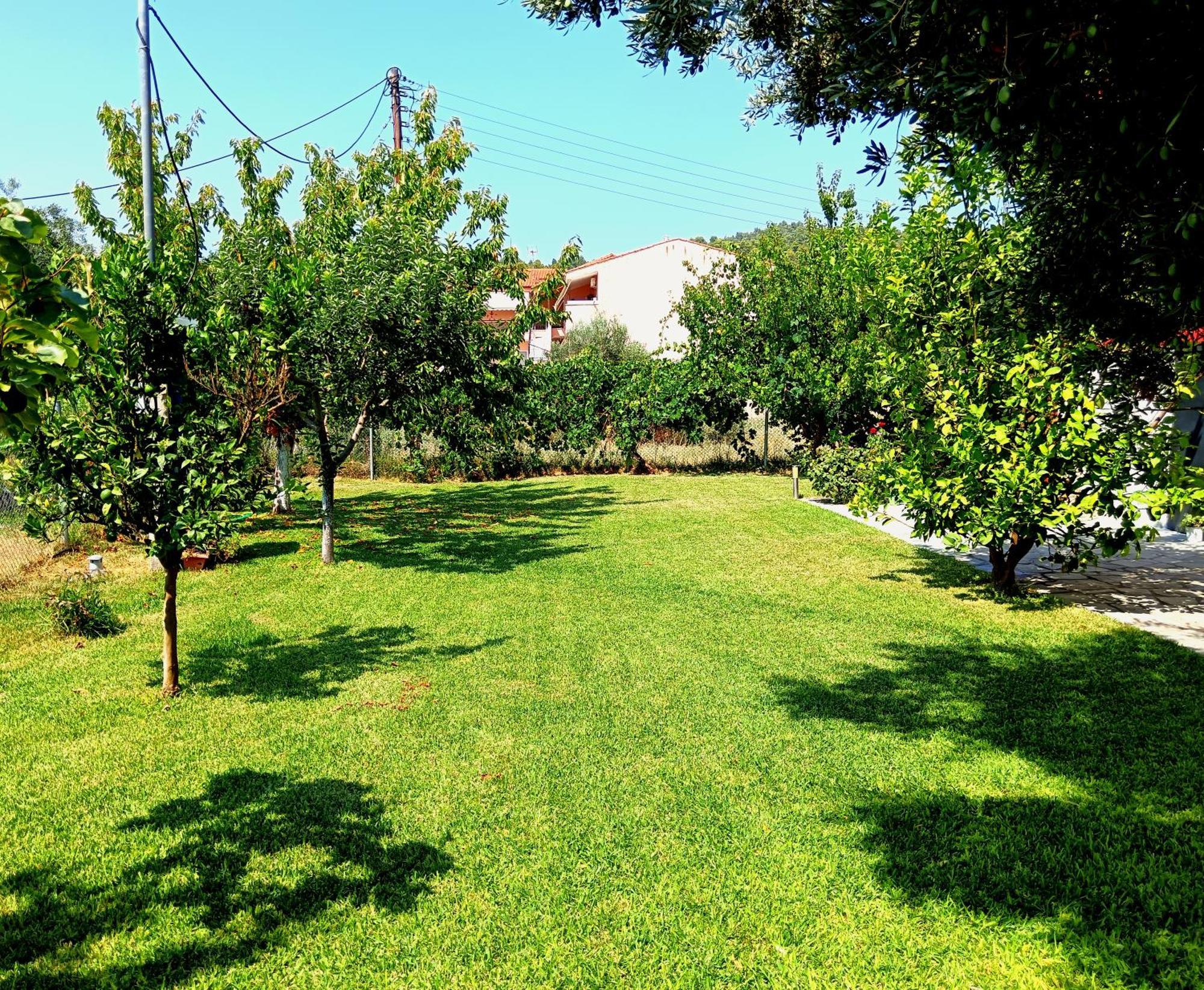 Giorgos Apartments. Skala Fourkas Luaran gambar